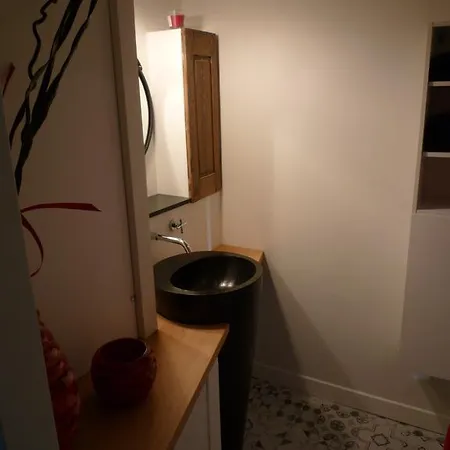 Apartment La Saint Paul *